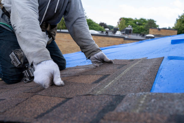 Best Local Roofing Companies  in Baldn, WI